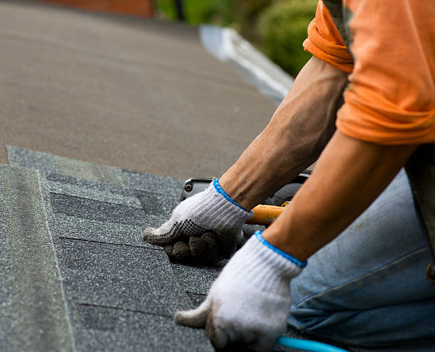 Best Storm Damage Roof Repair  in St Matthews, KY